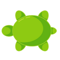 Toy Turtle for Kids